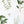 Load image into Gallery viewer, 611fc05e3c4ce80992caae23_herbs-prints_1774991435406.jpg
