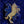 Load image into Gallery viewer, 611fc05e3c4ce80992caae23_horse1-insta_1772489368329.jpg
