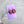 Load image into Gallery viewer, 611fc05e3c4ce80992caae23_img-1823_1754448227298.jpeg
