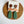 Load image into Gallery viewer, 611fc05e3c4ce80992caae23_img-3578-medium_1772041167119.jpeg
