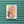 Load image into Gallery viewer, 611fc05e3c4ce80992caae23_img-4221_1785875579277.jpeg
