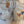 Load image into Gallery viewer, 611fc05e3c4ce80992caae23_img-5151_1779811709256.jpeg
