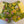 Load image into Gallery viewer, 611fc05e3c4ce80992caae23_img-5167_1779815808050.jpeg
