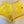 Load image into Gallery viewer, 611fc05e3c4ce80992caae23_img-5168_1779816441902.jpeg
