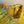 Load image into Gallery viewer, 611fc05e3c4ce80992caae23_img-5171_1779816441905.jpeg
