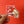 Load image into Gallery viewer, 611fc05e3c4ce80992caae23_img-8673_1787324887163.jpg
