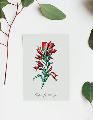 611fc05e3c4ce80992caae23_indian-paintbrush-mock_1748014976508.jpg