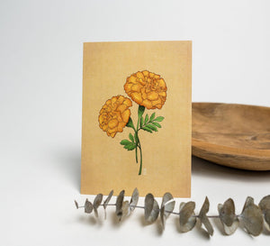 611fc05e3c4ce80992caae23_lls-marigold-print-2_1748662220331.jpg