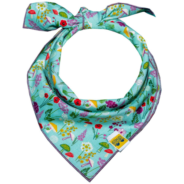 611fc05e3c4ce80992caae23_minty-green-mushies-bandana_1750083701218.jpg