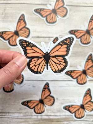 611fc05e3c4ce80992caae23_monarch-butterfly-hand_1753884267909.jpg