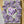 Load image into Gallery viewer, 611fc05e3c4ce80992caae23_pigeon-blurred_1790894373615.png
