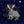 Load image into Gallery viewer, 611fc05e3c4ce80992caae23_rabbit1-insta_1772489568114.jpg
