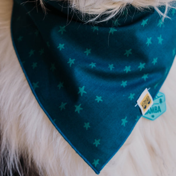 611fc05e3c4ce80992caae23_samba-teal-stars-4_1777950457501.jpg