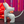 Load image into Gallery viewer, 611fc05e3c4ce80992caae23_screenshot-2026-10-02-at-6.20.27-pm_1790983393735.png
