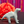 Load image into Gallery viewer, 611fc05e3c4ce80992caae23_screenshot-2026-10-02-at-6.21.01-pm_1790983393736.png
