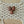 Load image into Gallery viewer, 611fc05e3c4ce80992caae23_tempimagesatvut_1771606595449.jpg
