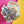 Load image into Gallery viewer, 611fc05e3c4ce80992caae23_texas-white-tailed-rabbit-with-blue-bonnets-pin-3_1790814915661.jpg
