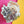 Load image into Gallery viewer, 611fc05e3c4ce80992caae23_texas-white-tailed-rabbit-with-blue-bonnets-pin-3_1790869493061.jpg
