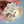 Load image into Gallery viewer, 611fc05e3c4ce80992caae23_texas-white-tailed-rabbit-with-blue-bonnets-pins_1790869493062.jpg
