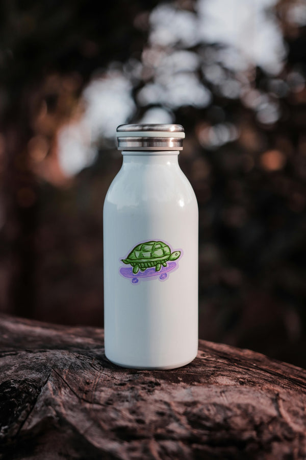 611fc05e3c4ce80992caae23_turtle-waterbottle_1790894724266.png
