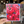 Load image into Gallery viewer, Cherry Disco Art Print
