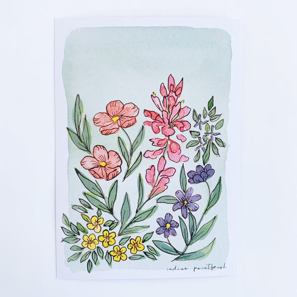 Indian Paintbrush Postcard - 2