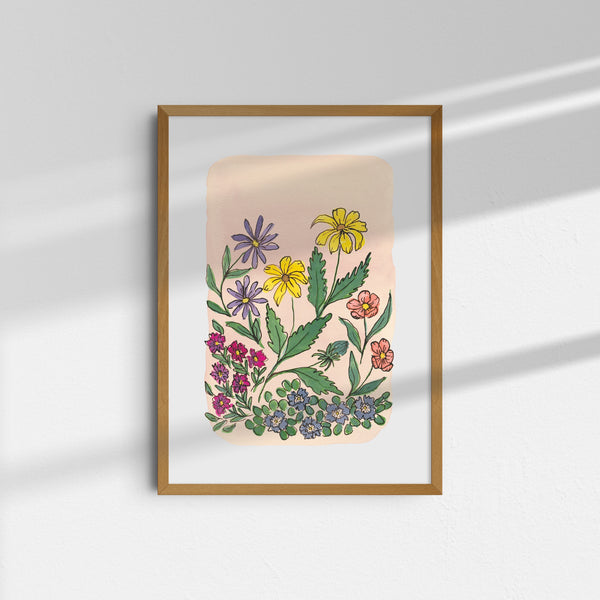 Engelmann Daisy Art Print - 1