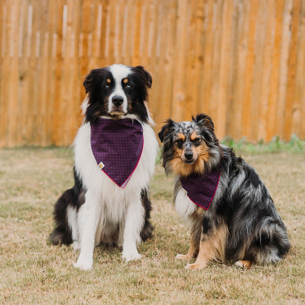 Purple Polka Dot Matching Human Scrunchie - 2