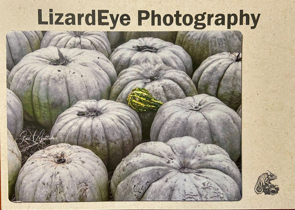 White Pumpkins Photography Print - 2