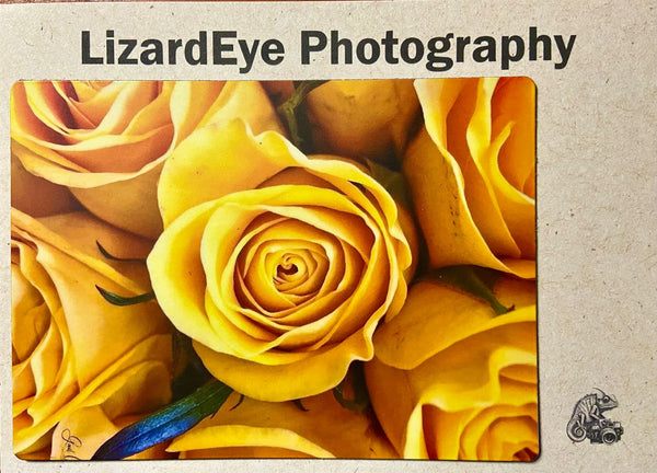 Yellow Roses Photography Print - 1