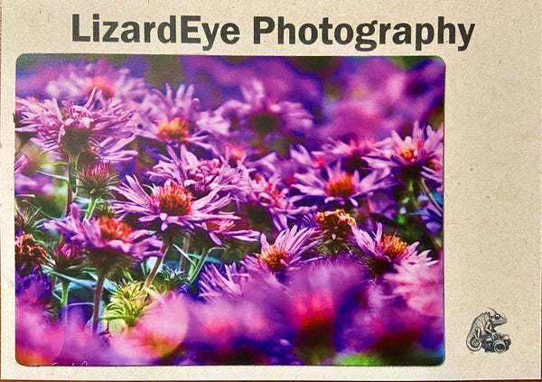 Field of Purple Photography Print - 1