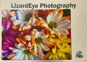 Daisies in Technicolor Photography Print - 1