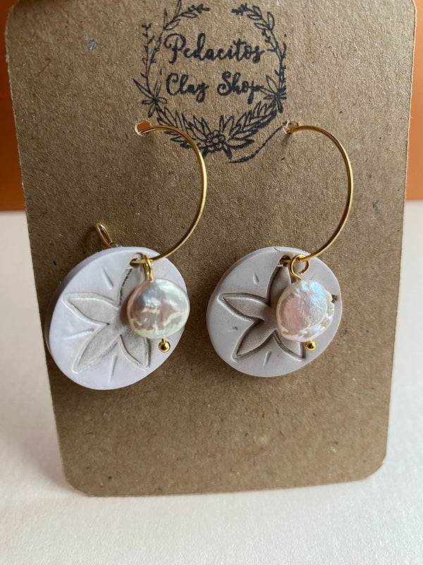 Sand dollar Earrings - 4