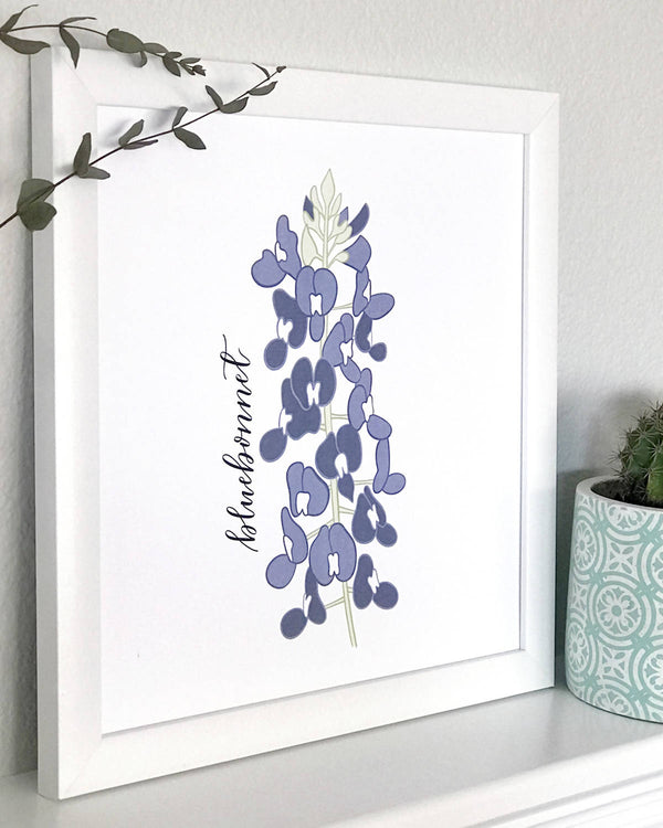 Bluebonnet Flower Hand Illustrated Wall Art Print