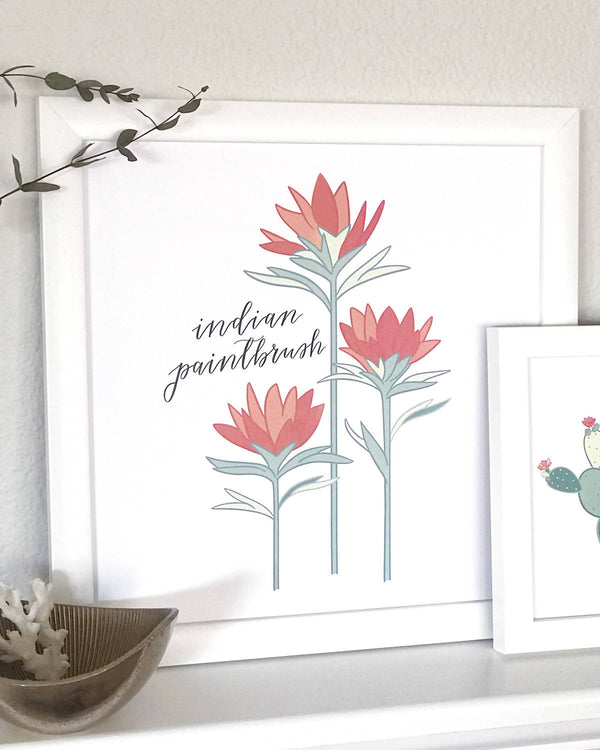 Indian Paintbrush Flower Hand Illustrated Wall Art Print