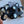 Load image into Gallery viewer, Seashells Stud Black Earrings  - 1
