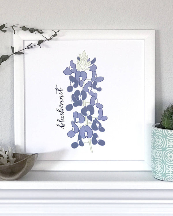 Bluebonnet Flower Hand Illustrated Wall Art Print