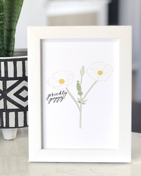 Prickly Poppy Wildflower Art Print