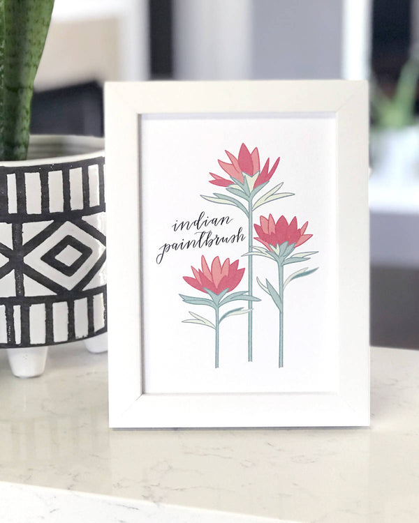 Indian Paintbrush Flower Hand Illustrated Wall Art Print