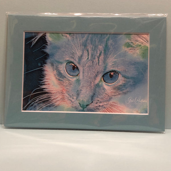 Kitty Art Photography Print