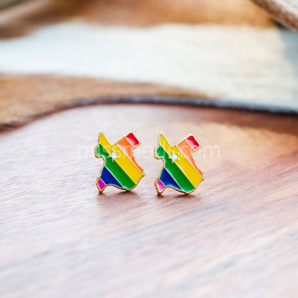 Texas Rainbow Enamel Earrings - 1