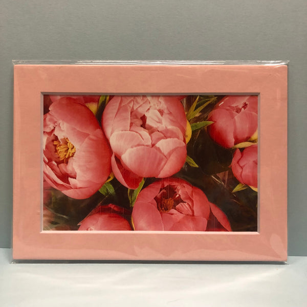 Pink Peonies Photography Print - 2