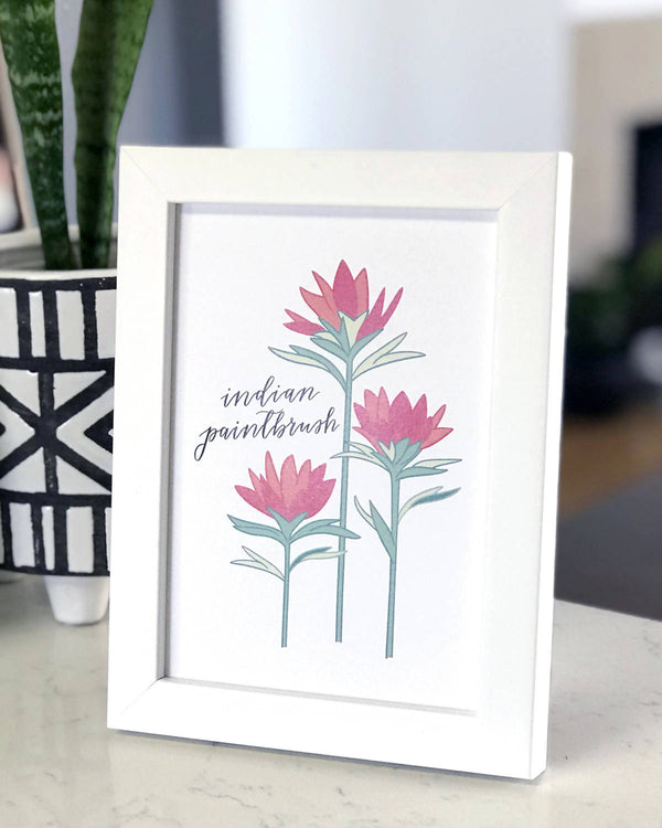 Indian Paintbrush Flower Hand Illustrated Wall Art Print