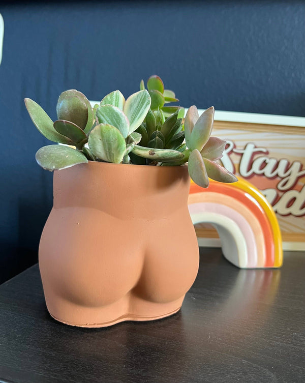 Cheeky Concrete Planter - Chestnut