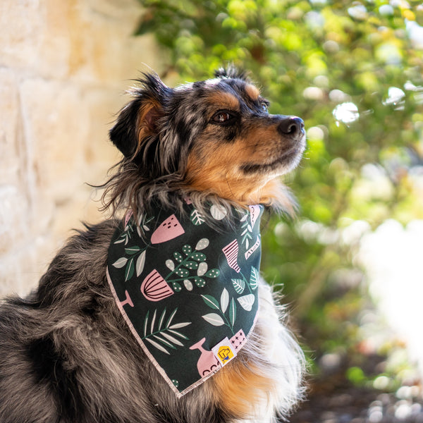 Crazy Plant Lady Dog Bandana - 3
