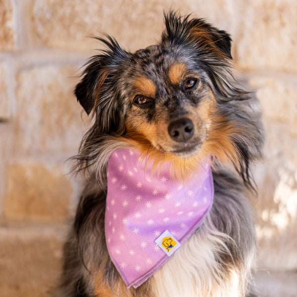 Lovely Lavender Sparks Dog Bandana - 2