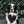 Load image into Gallery viewer, Starry Night Metallic Dog Bandana - 2
