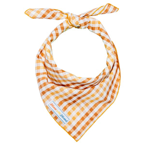 Seasoned Plaid Everyday Dog Bandana - 1
