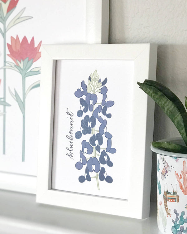 Bluebonnet Flower Hand Illustrated Wall Art Print